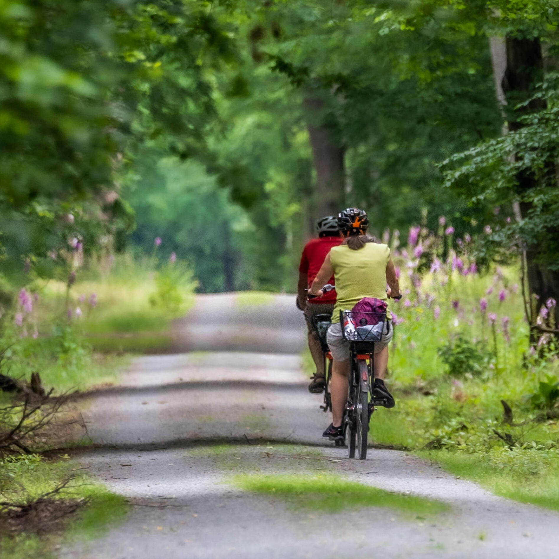 Passeggiate in bici in toscana glamping con bici toscana